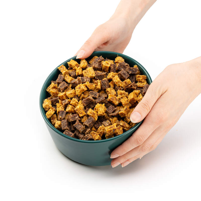 Large Ceramic Dog Bowl 850 ml in Green - Image 4