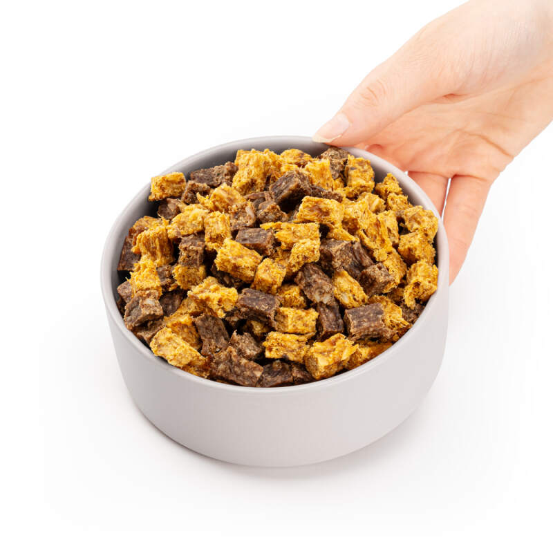 Small Ceramic Dog Bowl 400 ml in Gray - Image 7