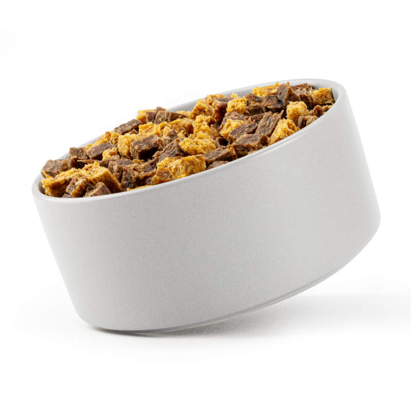Large Ceramic Dog Bowl 850 ml in Gray - Image 6