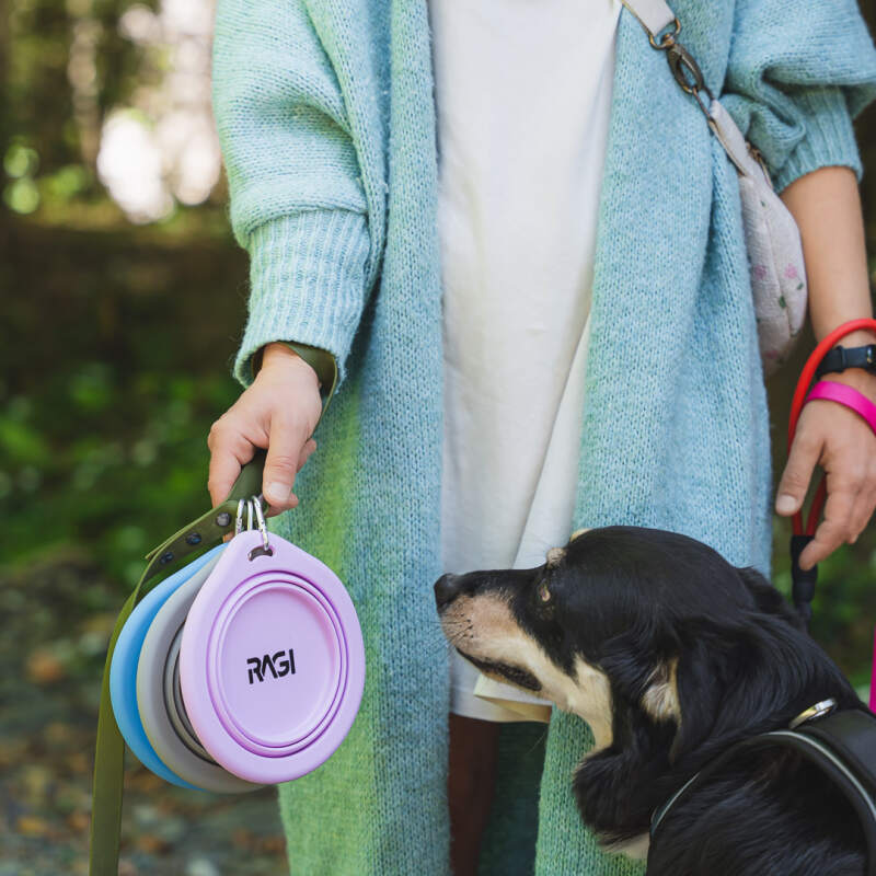 Collapsible Silicone Travel Bowl 650 ml - Image 10